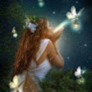 Meet your Posher, Bonnie